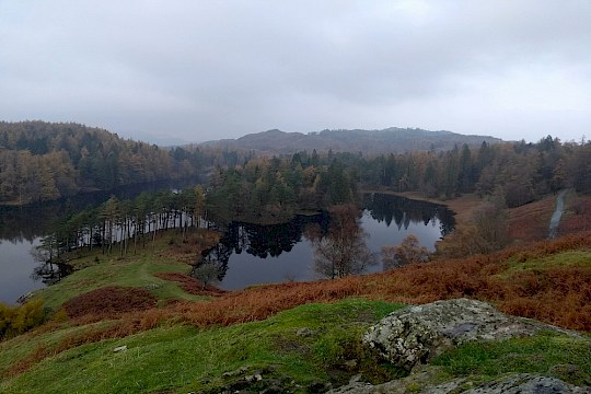 A Lake District Cottage